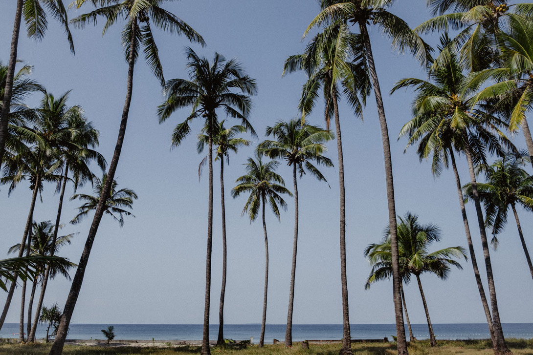 Palmy, moře a klid